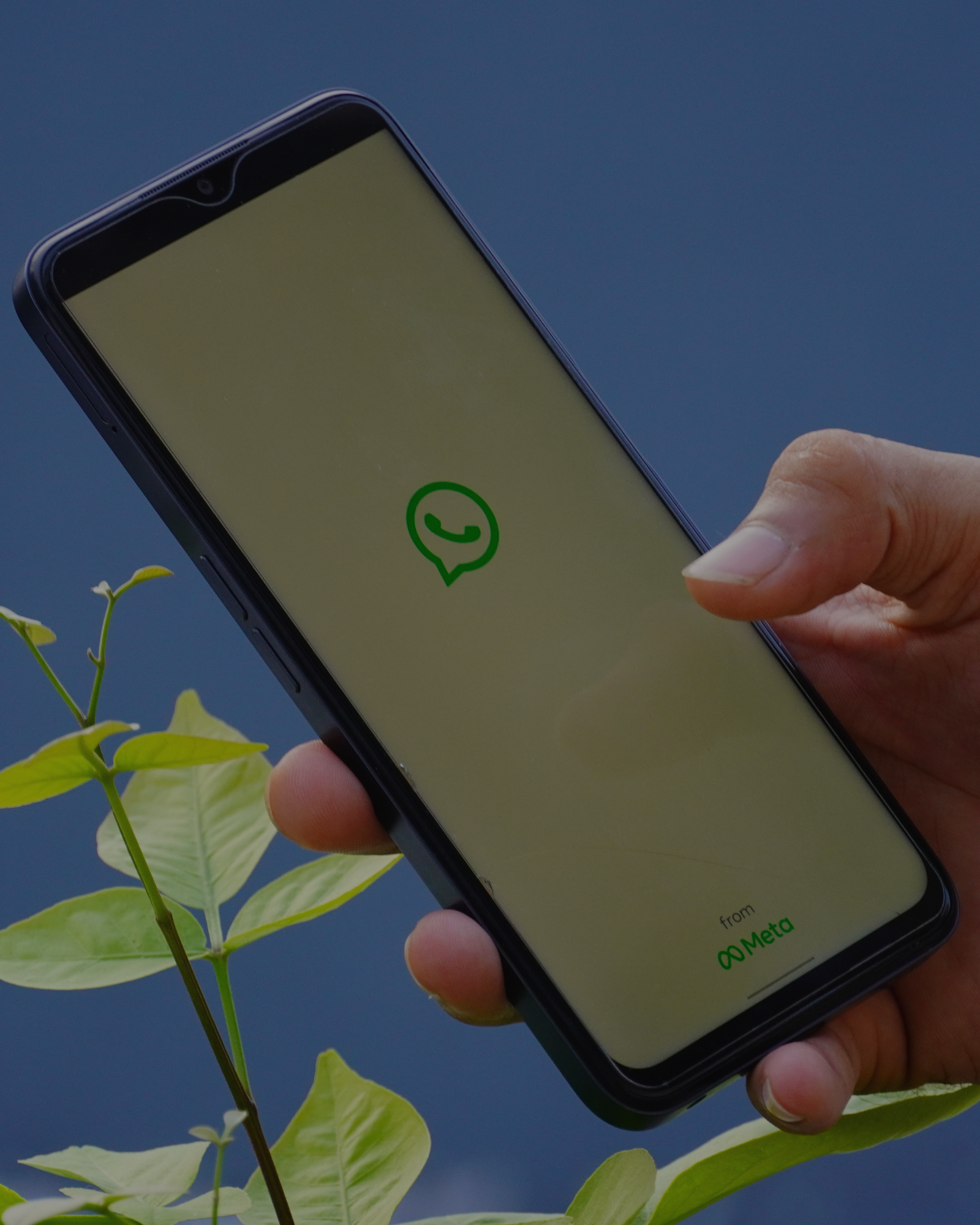 Grupos de WhatsApp: ¿Por Qué Son la Clave para Crear Comunidad con Tus Clientes? 💬❤️